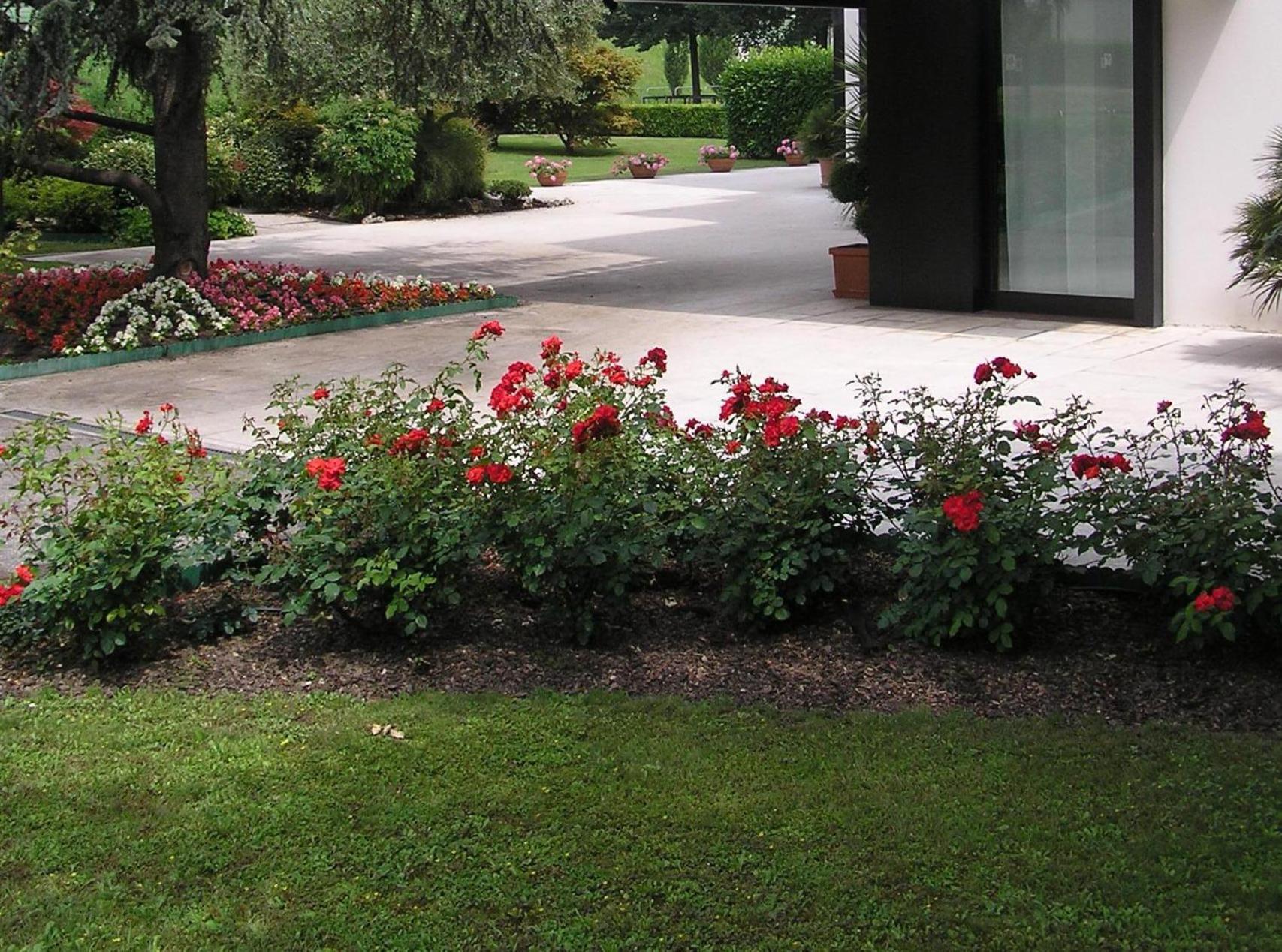 Hotel Giovanni Padova
